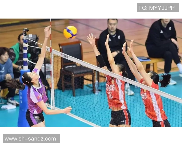 南京排球队比赛经验引发热议球迷对表现和战术的不同看法