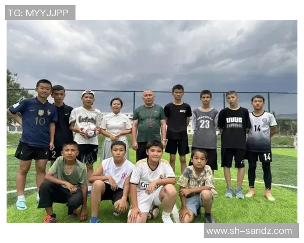 学霸与足球明星的青春逆袭之路在绿茵场上绽放梦想与友情