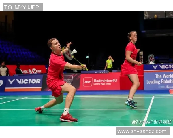 赛后分析:上海羽毛球队与成都羽毛球队个人能力的全面对比与探讨