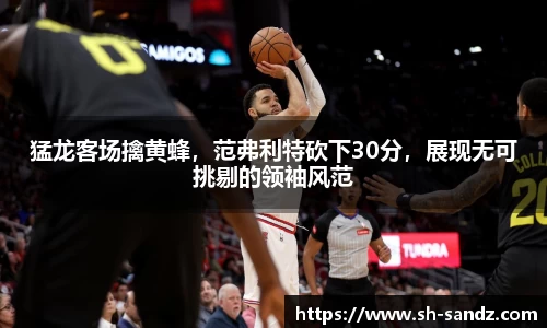 DB真人旗舰