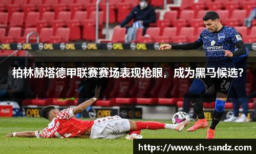 DB真人旗舰